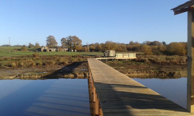 Passerelle et ponton en bois - Plesse 44