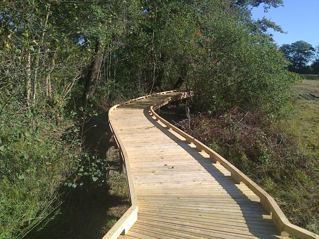 Cheminement pour aménagement en zone humide - Etang à Les Epesses (85)