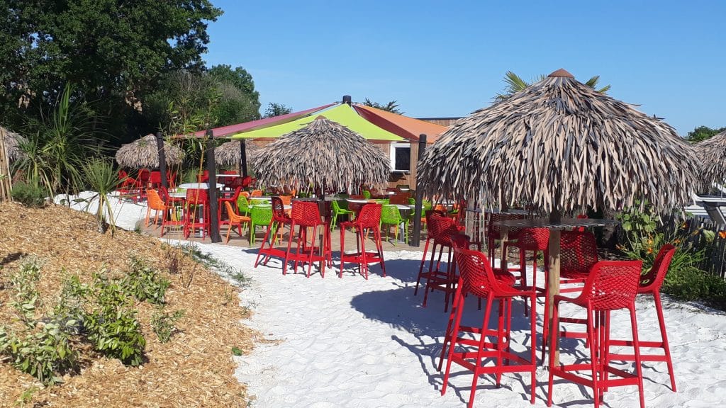 Parasols exotiques PALAPA