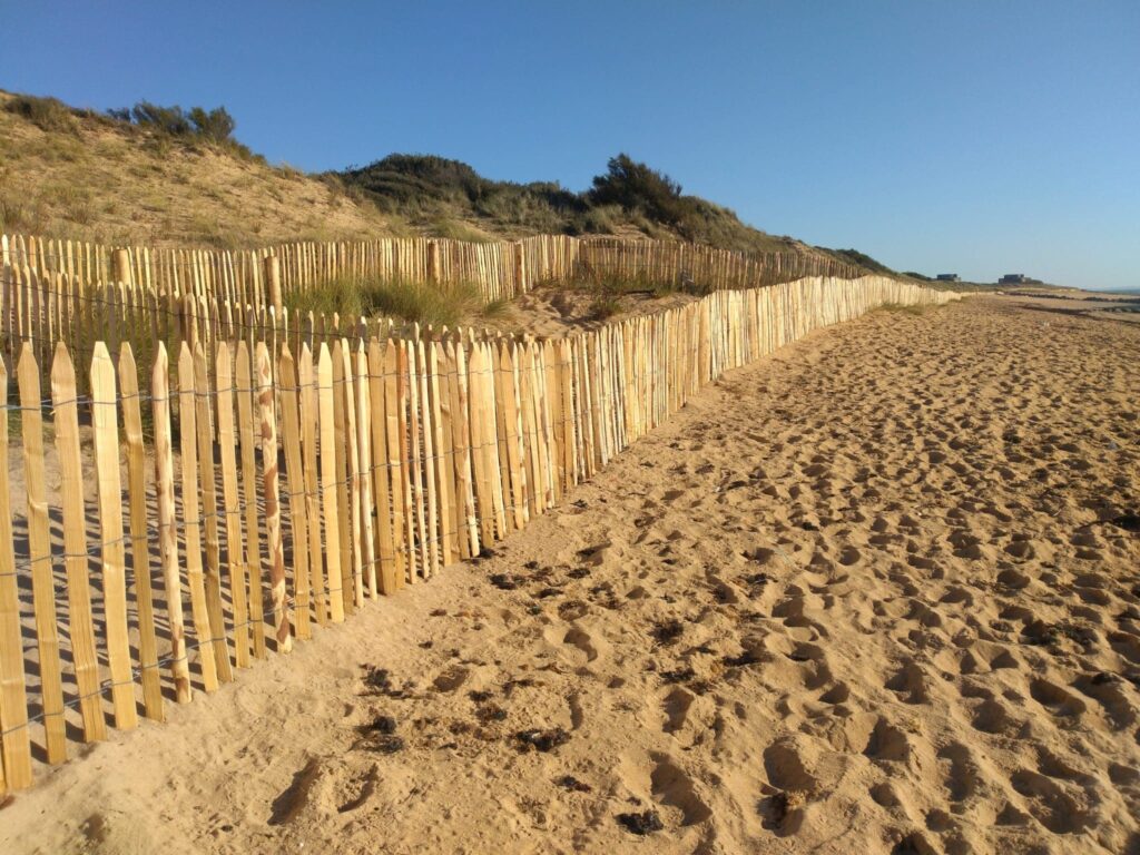 Clôtures et palissades en châtaignier